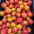 Organic Apricots (3 lb. Clamshell)