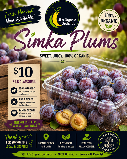 Coming Soon: Organic Plums (3 lb. Clamshell)