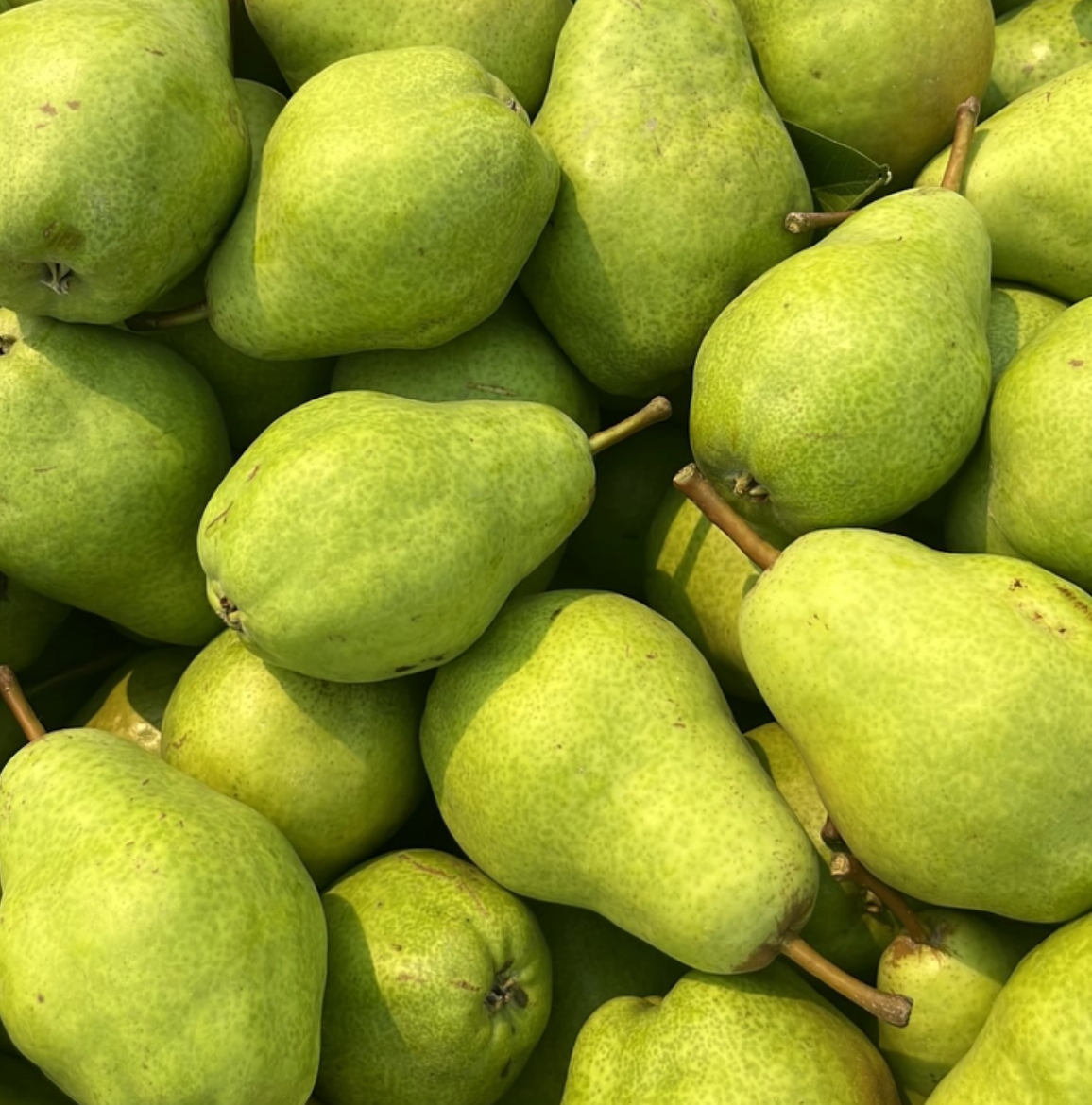 Organic Green Bartlett Pears (10 lb. Box)