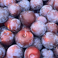 Coming Soon: Organic Plums (3 lb. Clamshell)