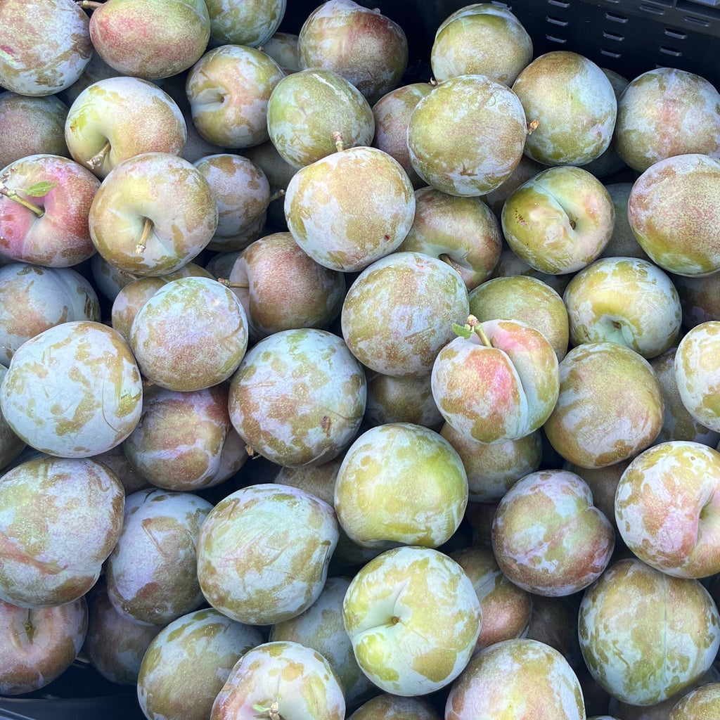 Coming Soon: Organic Pluots (3 lb. Clamshell)