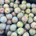 Coming Soon: Organic Pluots (3 lb. Clamshell)