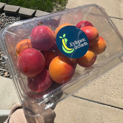 Organic Apricots (3 lb. Clamshell) Sold Out for 2026