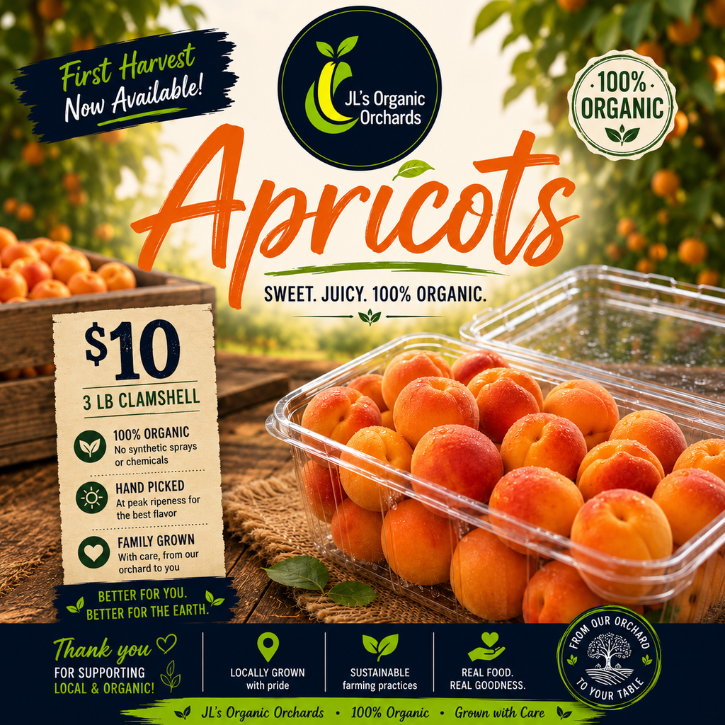 Organic Apricots (3 lb. Clamshell) Sold Out for 2026