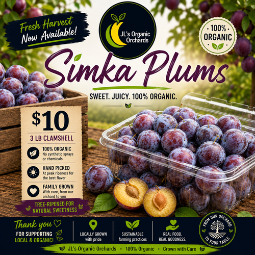 Coming August: Organic Plums (3 lb. Clamshell)