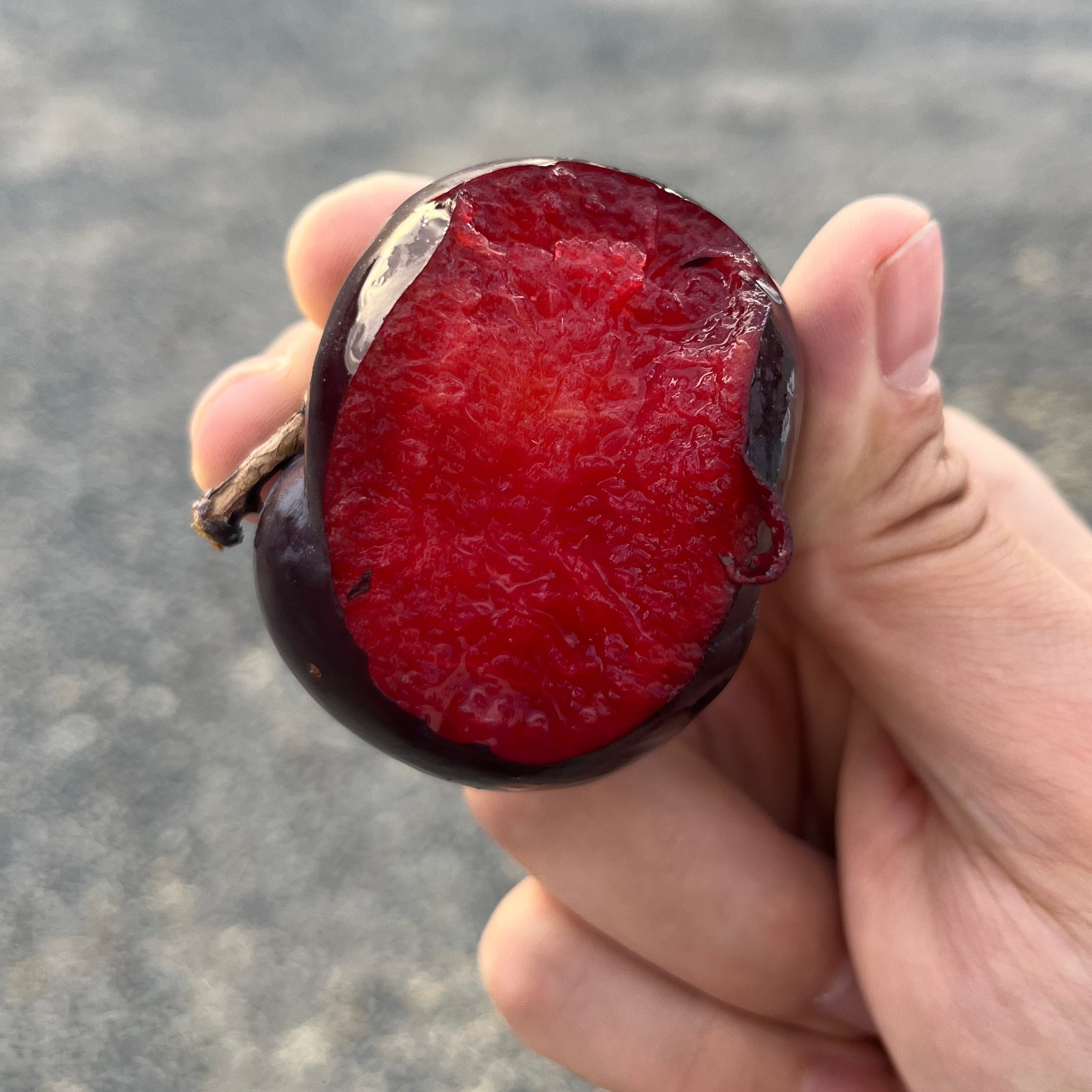 Organic Flavorosa Pluots *LIMITED QUANTITY* (3 lb. Clamshell)